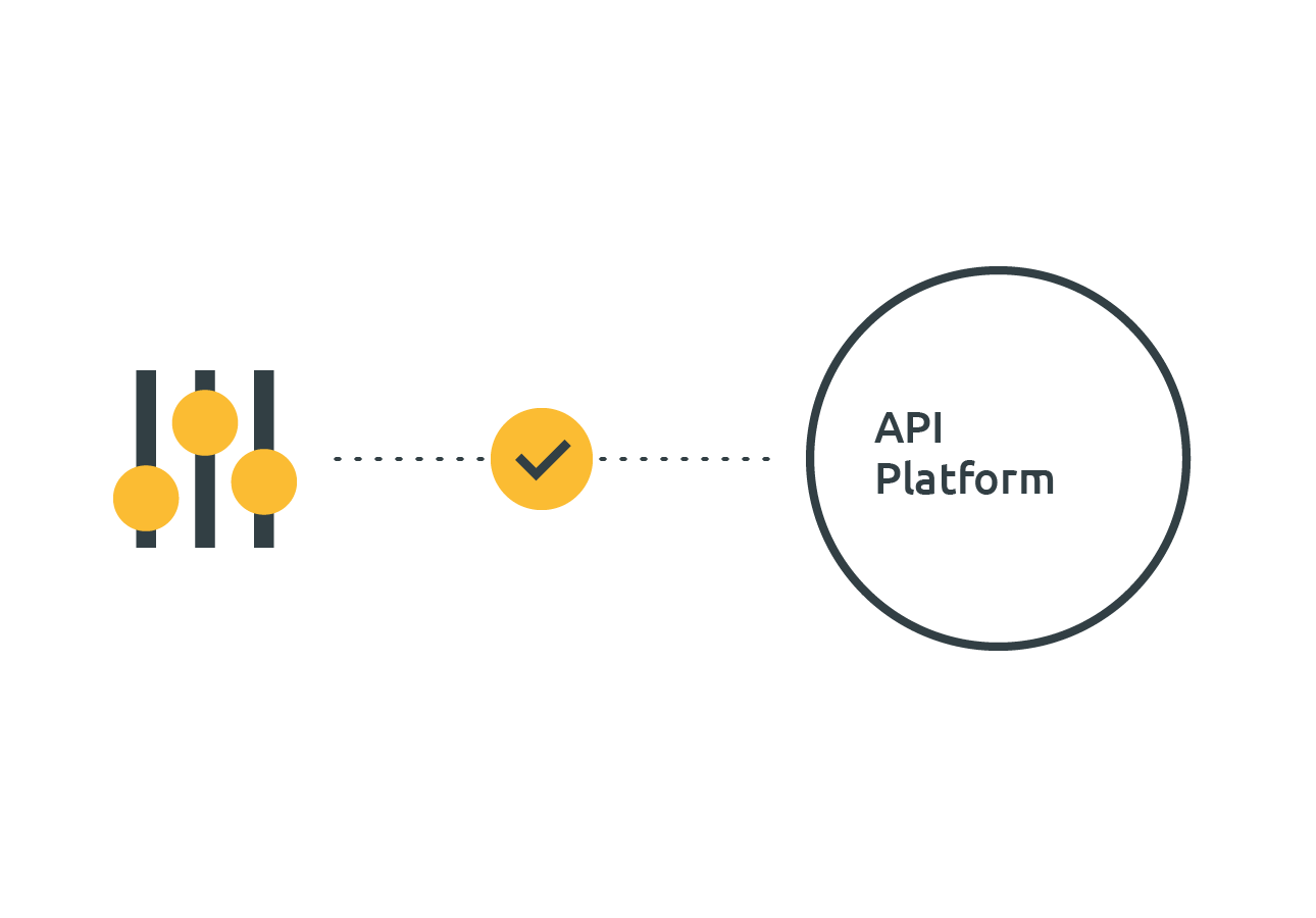 API platform integration